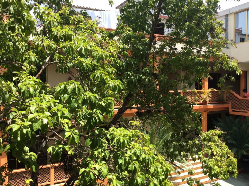 Hotel Juros Catemaco Εξωτερικό φωτογραφία